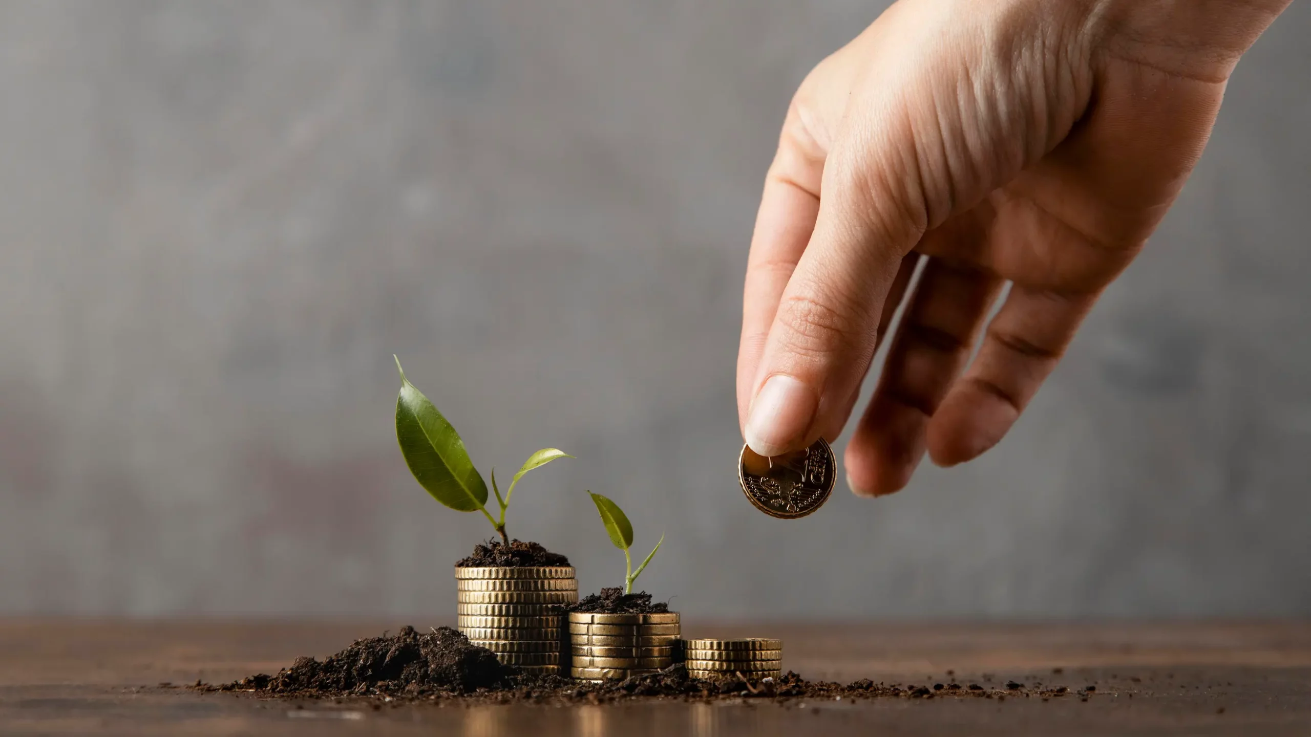 Vantagens Do Lucro Presumido E Cont Gestão Em Contabilidade - E-cont
